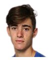 गुस्तावो हाइडे